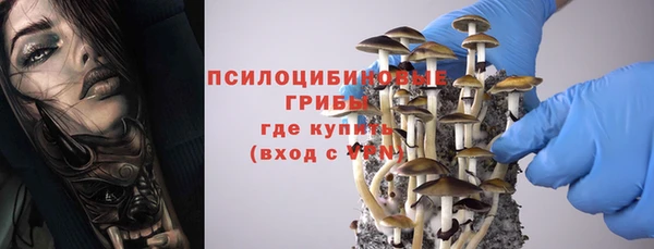 скорость Алзамай