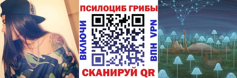 что такое наркотик  KRAKEN ТОР  Псилоцибиновые грибы MAGIC MUSHROOMS  Октябрьск 